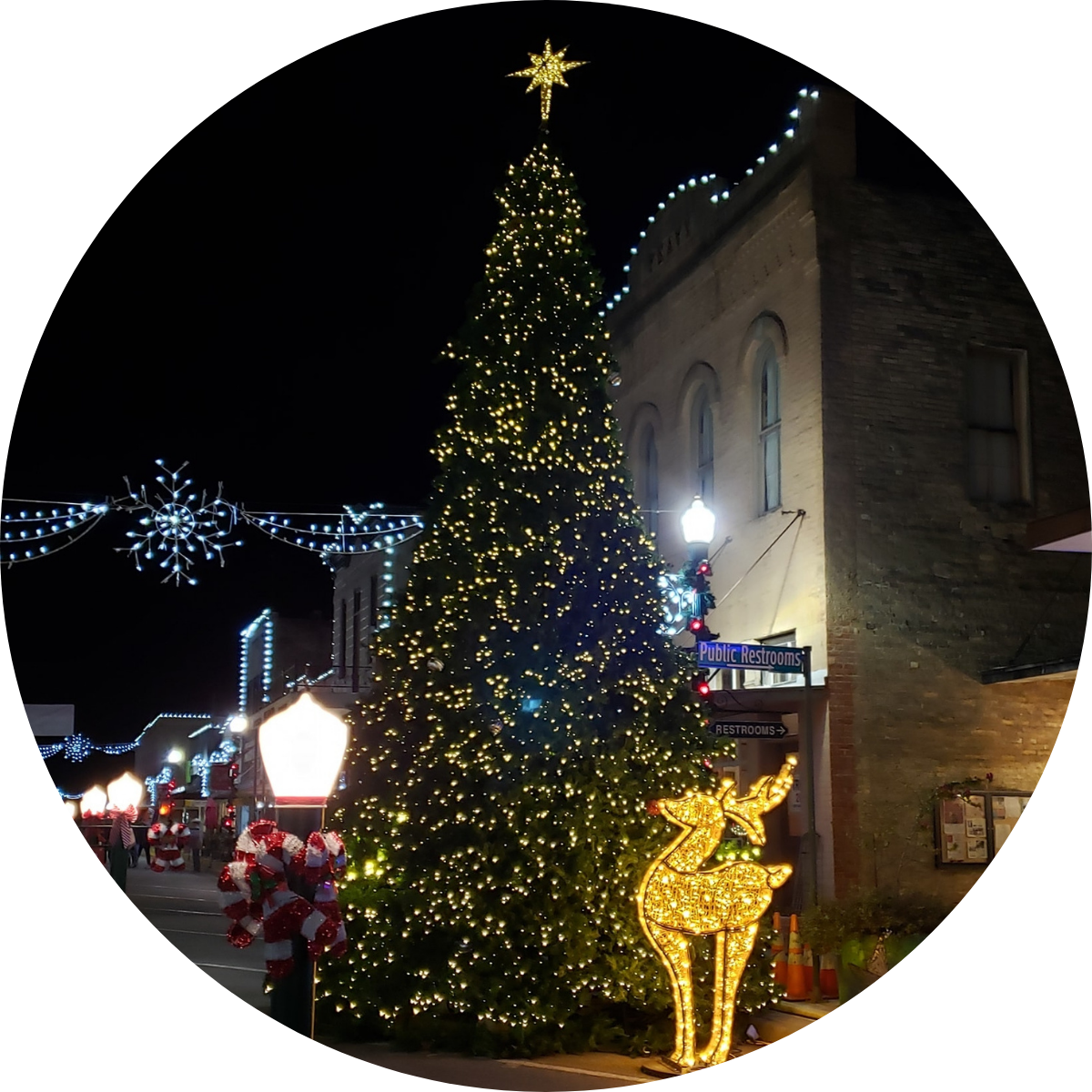 Christmas in South Central Texas